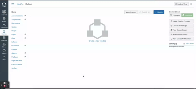 assignmentcanvas.gif